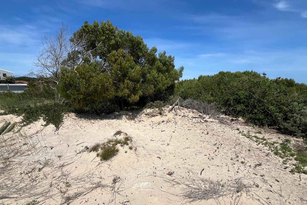 Vacant Land for Sale Paradise Beach Jeffreys Bay - Photo 5