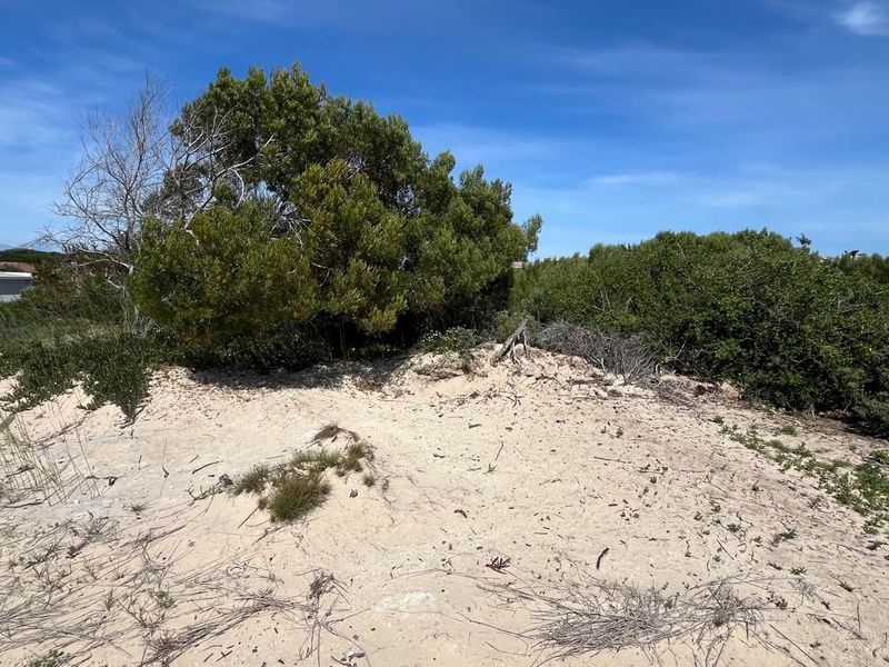 Vacant Land for Sale Paradise Beach Jeffreys Bay - Photo 5
