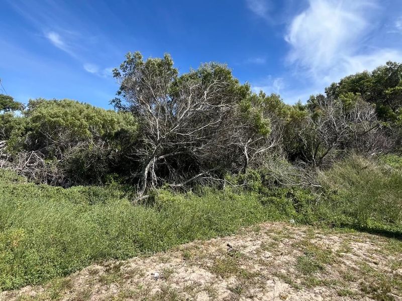 Vacant Land for Sale Paradise Beach Jeffreys Bay - Photo 7