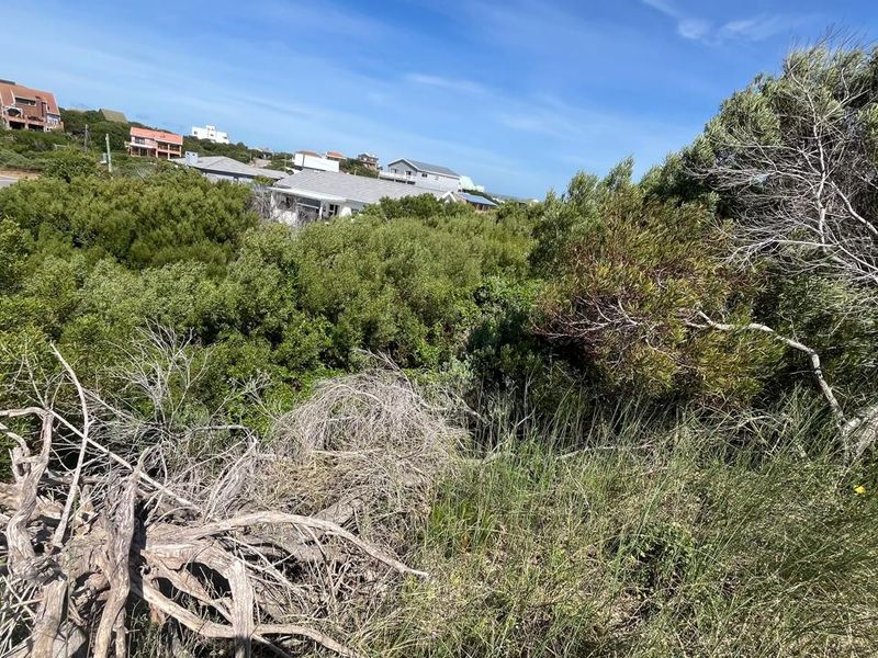 Vacant Land for Sale Paradise Beach Jeffreys Bay - Photo 6