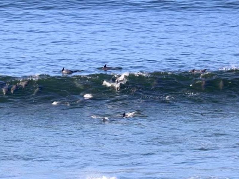 WHERE OCEAN DREAMS MEET GOLDEN SUNSETS       - Photo 10