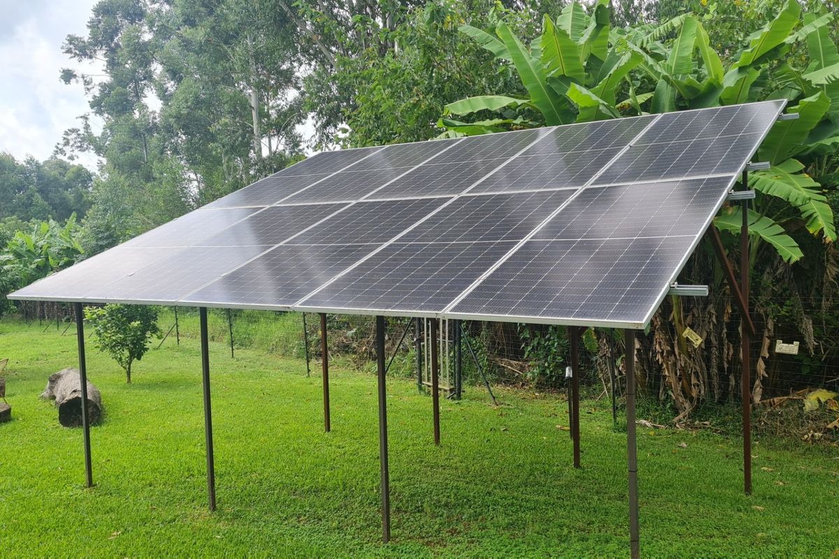 Live Life Off The Grid, Farm Living - Photo 3