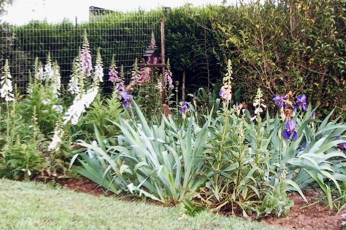 Versatile 3-Hectare Smallholding for Sale in Boston, KZN – Endless Potential Awaits - Photo 5