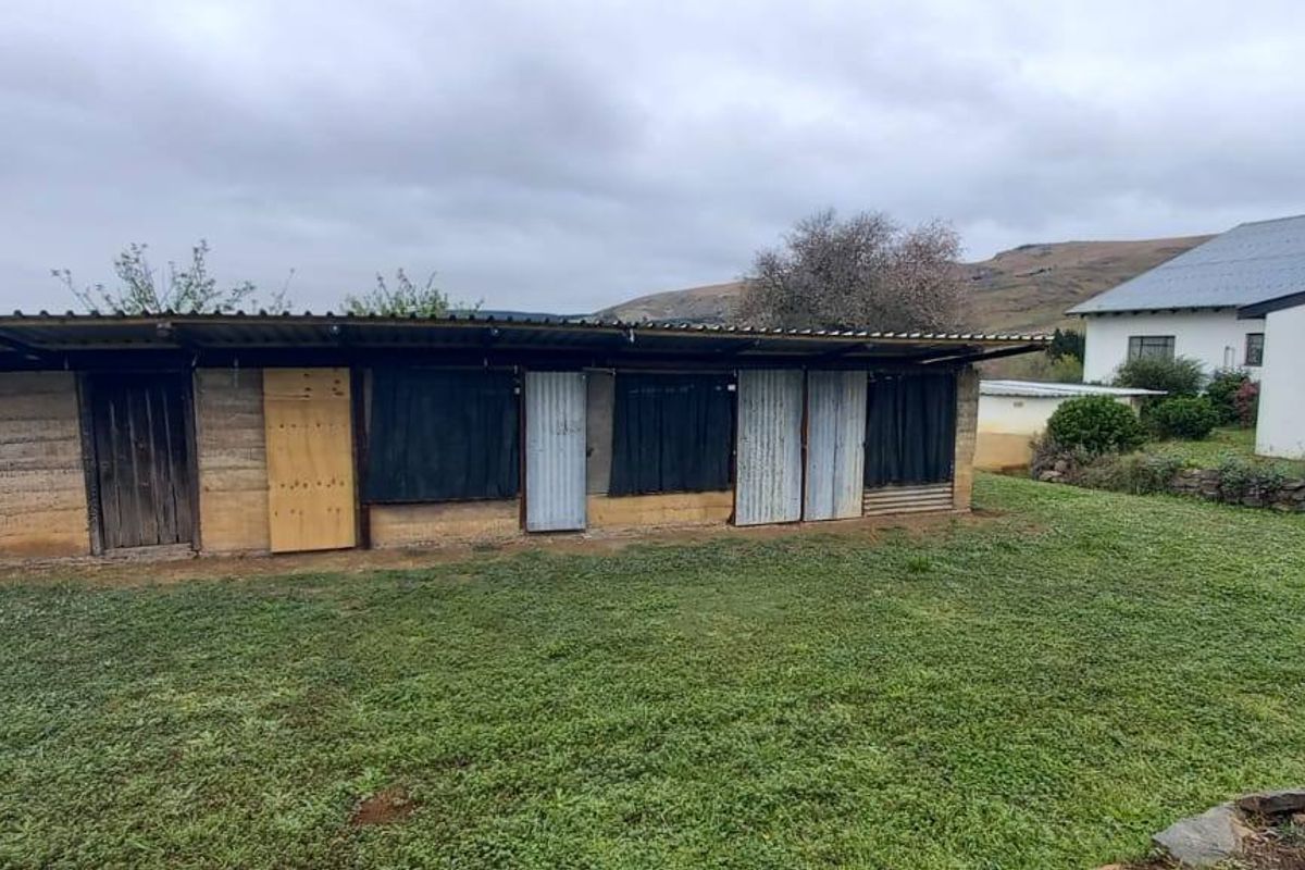 Versatile 3-Hectare Smallholding for Sale in Boston, KZN – Endless Potential Awaits - Photo 3