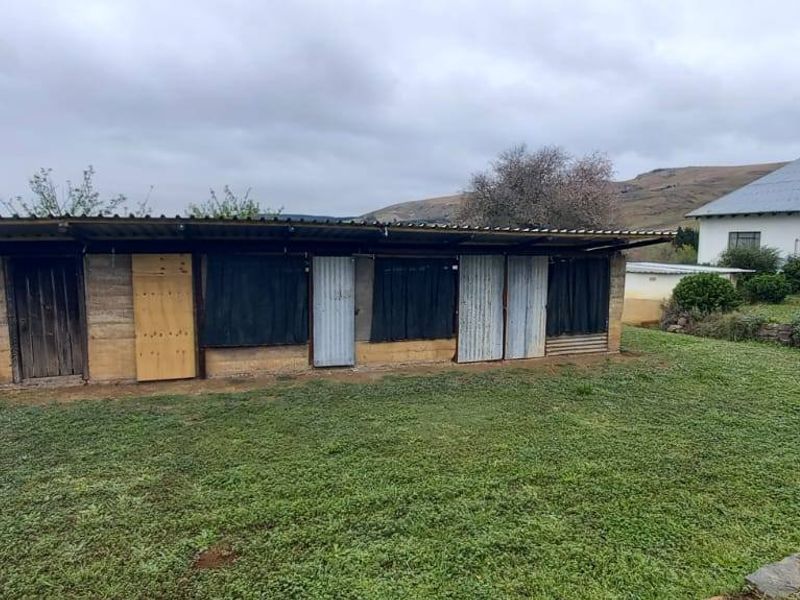 Versatile 3-Hectare Smallholding for Sale in Boston, KZN – Endless Potential Awaits - Photo 3