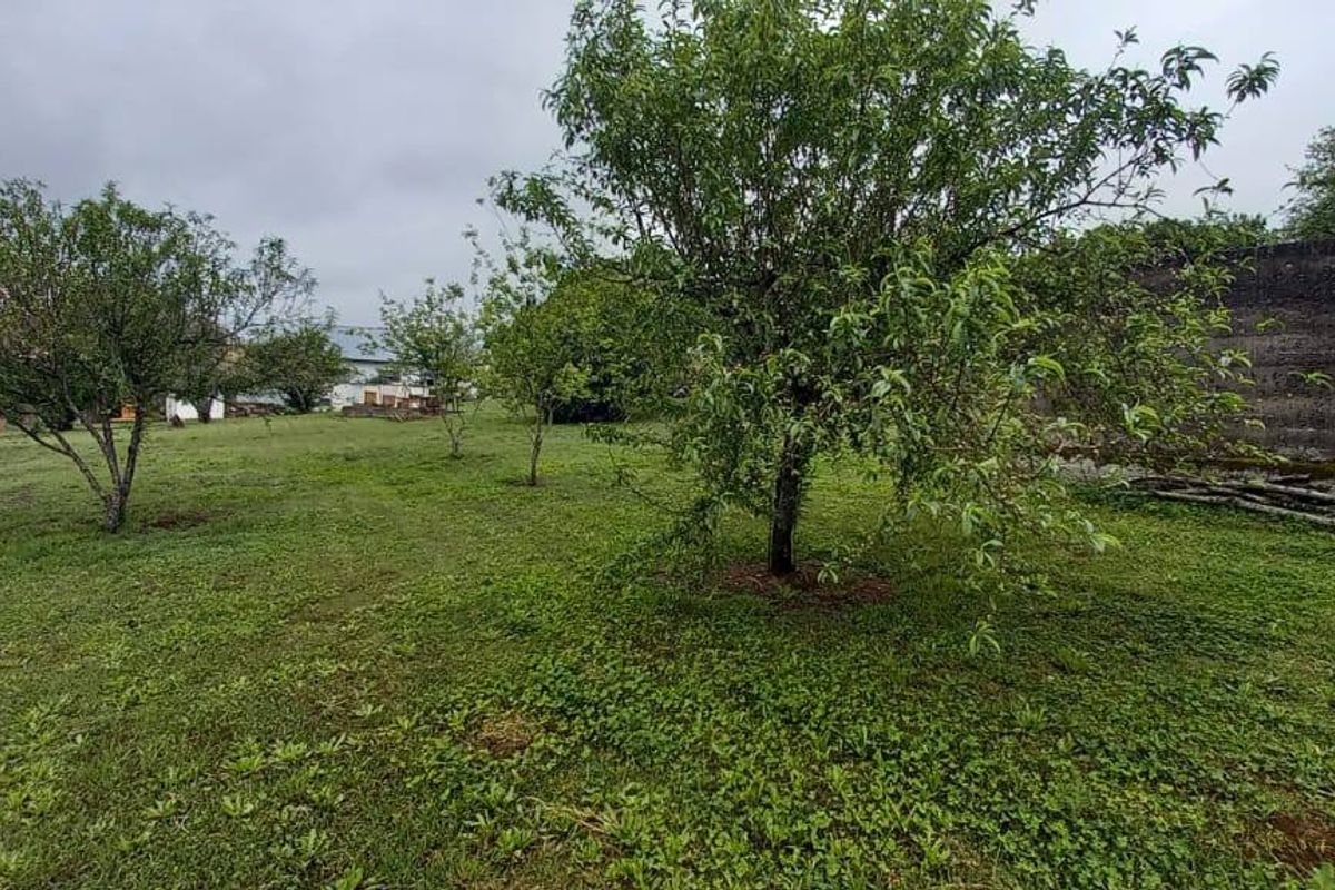 Versatile 3-Hectare Smallholding for Sale in Boston, KZN – Endless Potential Awaits - Photo 4