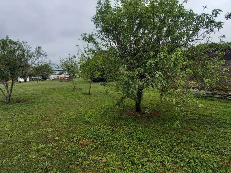 Versatile 3-Hectare Smallholding for Sale in Boston, KZN – Endless Potential Awaits - Photo 4