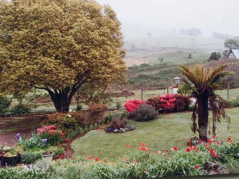Versatile 3-Hectare Smallholding for Sale in Boston, KZN – Endless Potential Awaits - Photo 7
