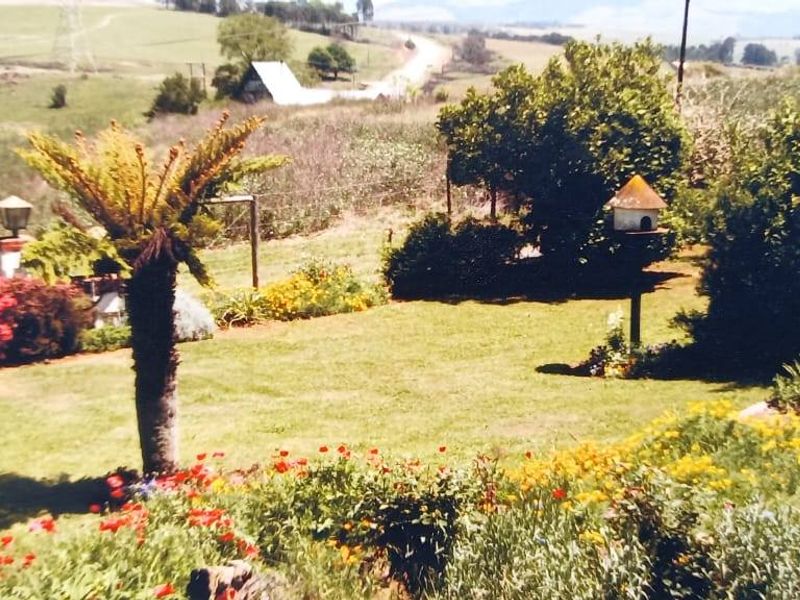 Versatile 3-Hectare Smallholding for Sale in Boston, KZN – Endless Potential Awaits - Photo 6