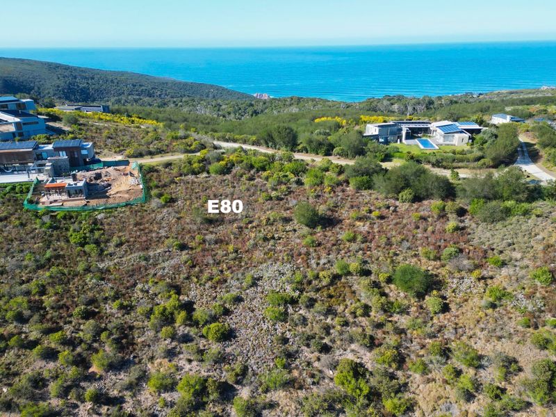 Warm sunny Pezula Private Estate Plot - Photo 2