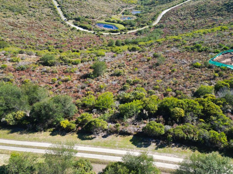 Warm sunny Pezula Private Estate Plot - Photo 5