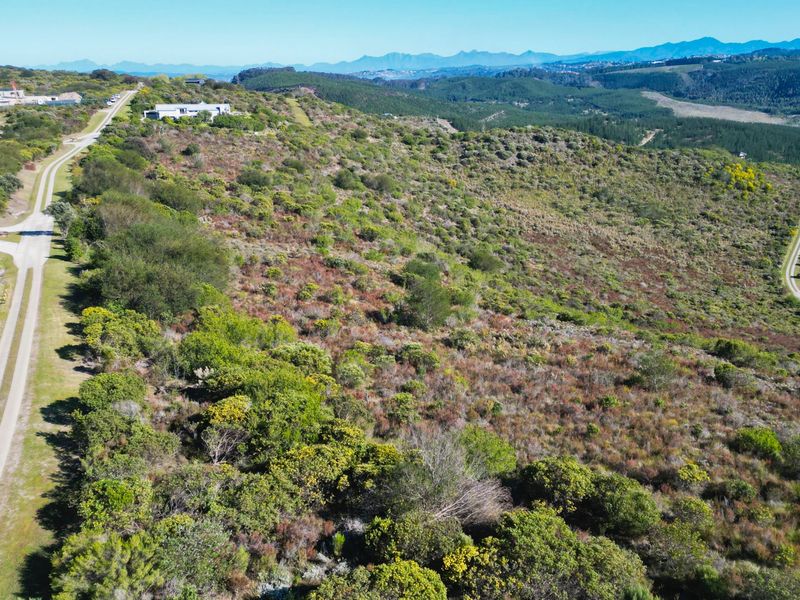 Warm sunny Pezula Private Estate Plot - Photo 8