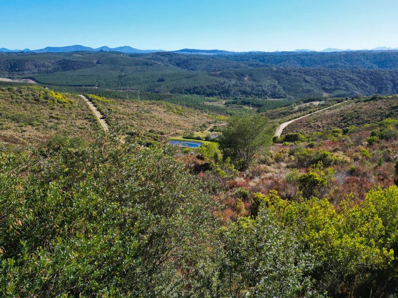 Warm sunny Pezula Private Estate Plot - Photo 7