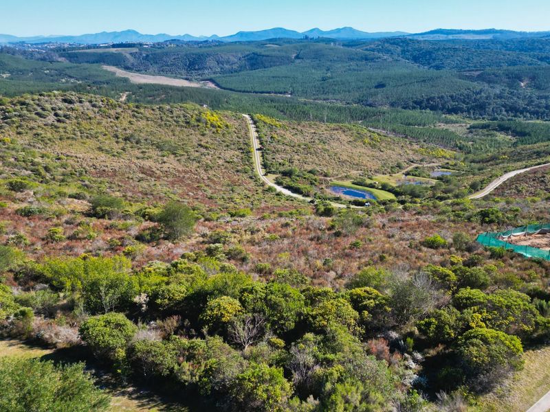 Warm sunny Pezula Private Estate Plot - Photo 6