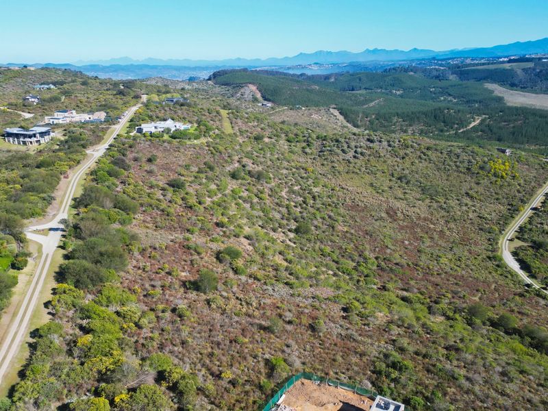 Warm sunny Pezula Private Estate Plot - Photo 3