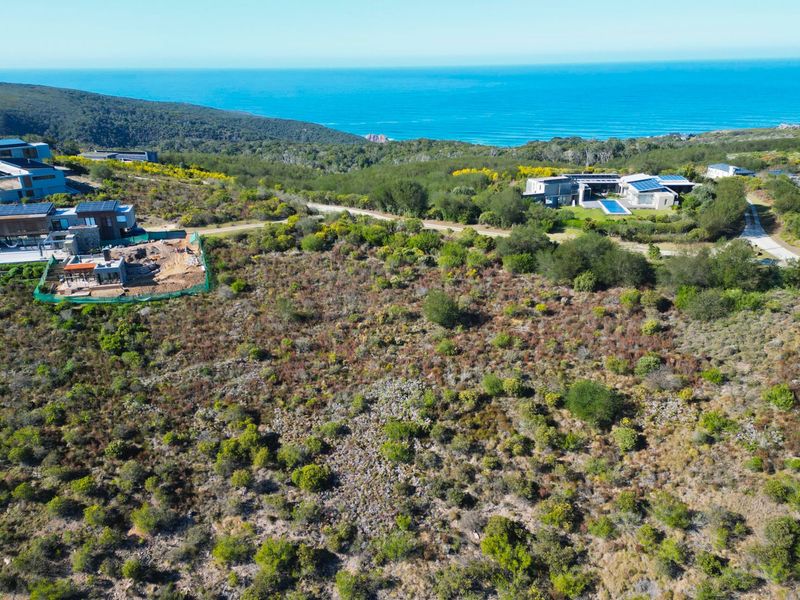 Warm sunny Pezula Private Estate Plot - Photo 4