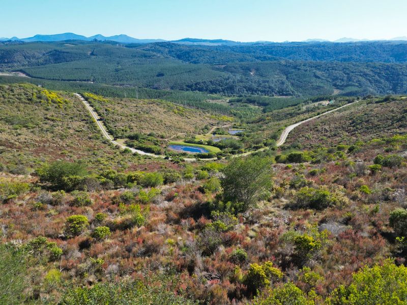 Warm sunny Pezula Private Estate Plot - Photo 1