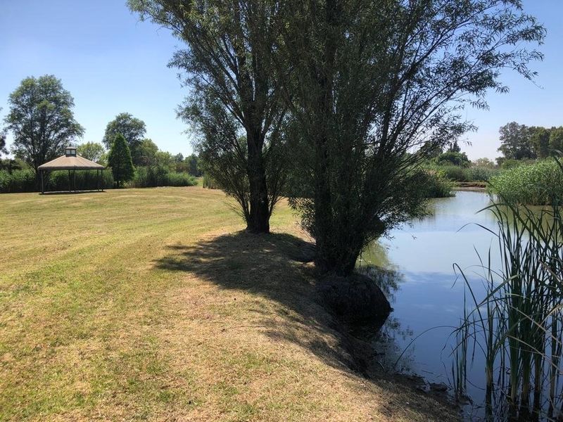 A peaceful garden area featuring a gazebo, mature trees, and a natural pond, offering a serene outdoor setting.
