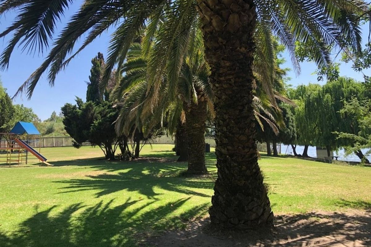 A spacious, well-maintained garden area featuring mature palm trees, expansive lawn, and perimeter fencing, offering a serene outdoor setting.
