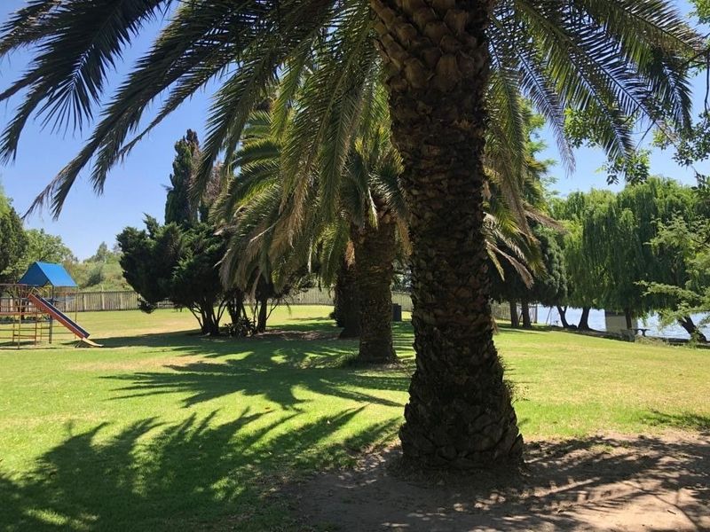 A spacious, well-maintained garden area featuring mature palm trees, expansive lawn, and perimeter fencing, offering a serene outdoor setting.