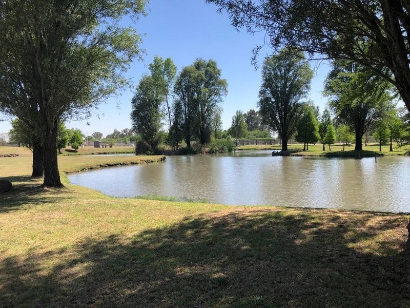 A scenic view of a tranquil lake surrounded by mature trees and well-maintained lawn areas within the residential estate.