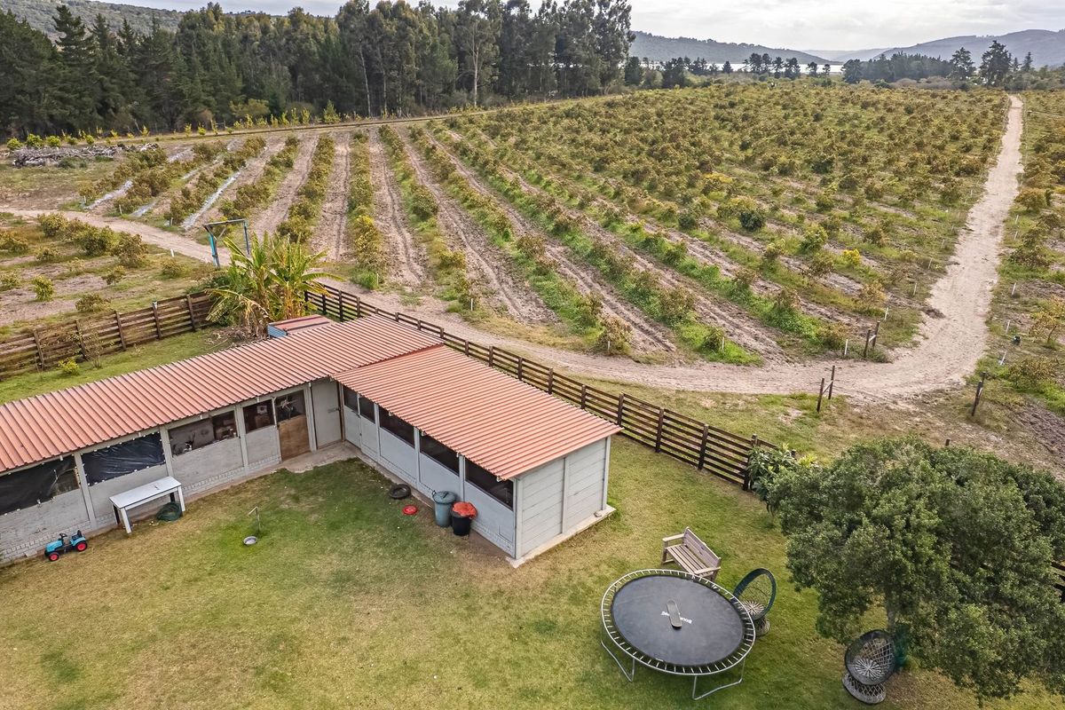 23ha Avocado Farm with Guest Cabins & Homesteads – Wilderness - Photo 4