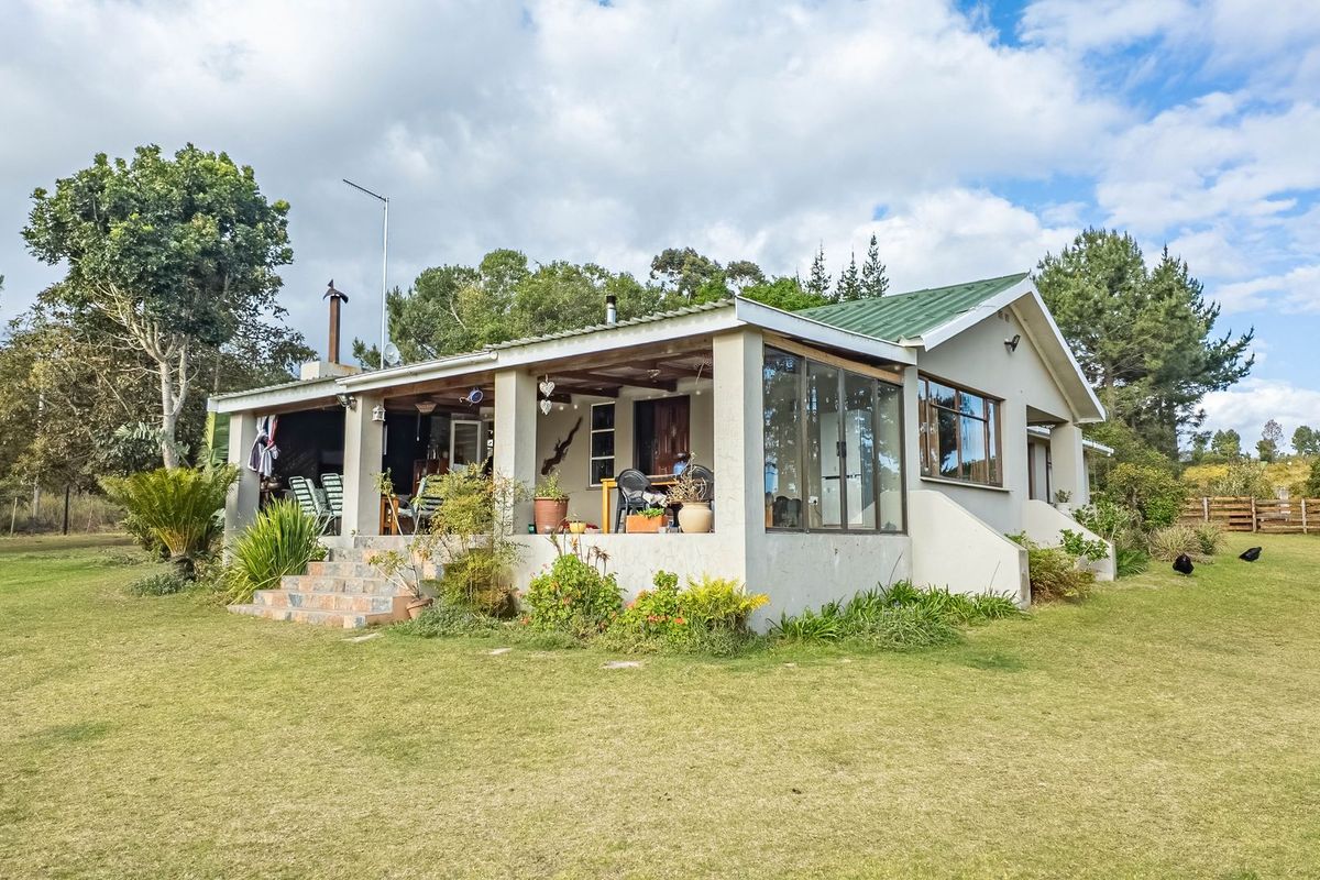 A rear view of a farm-style dwelling featuring a covered patio, tiled entrance steps, and a metal roof set within a spacious garden.