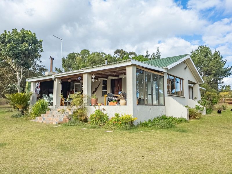23ha Avocado Farm with Guest Cabins & Homesteads – Wilderness - Photo 5