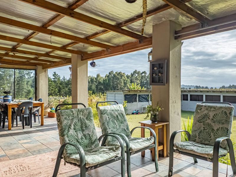 23ha Avocado Farm with Guest Cabins & Homesteads – Wilderness - Photo 9