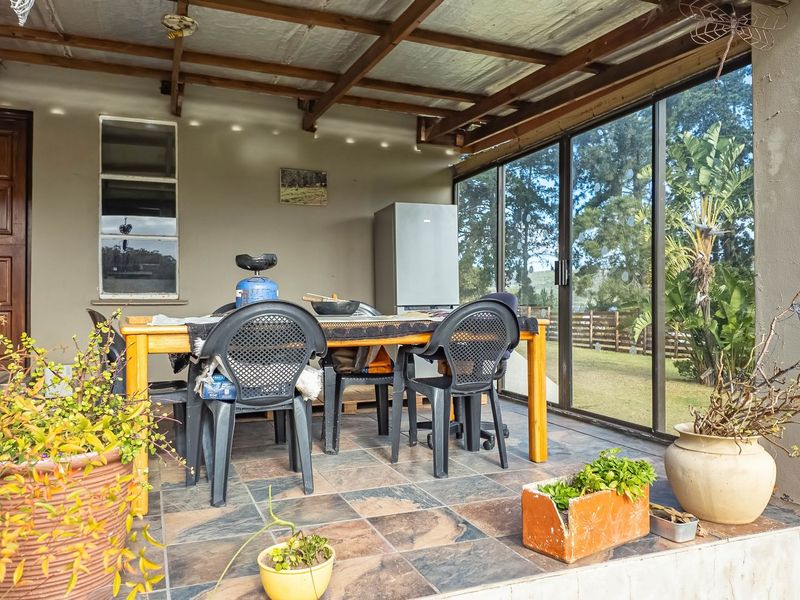 23ha Avocado Farm with Guest Cabins & Homesteads – Wilderness - Photo 10