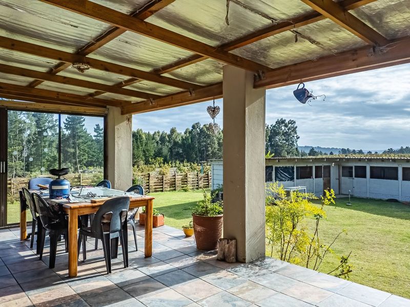 23ha Avocado Farm with Guest Cabins & Homesteads – Wilderness - Photo 8