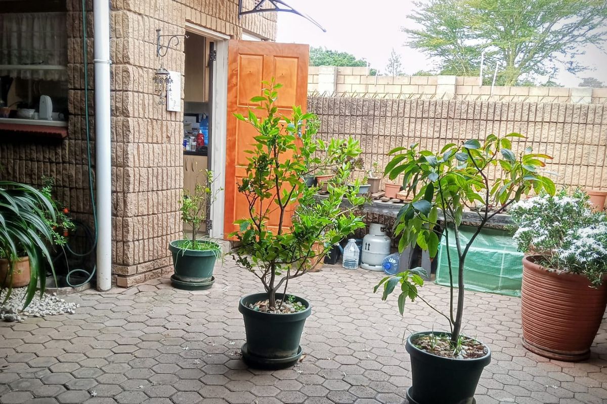 A private rear courtyard featuring paved flooring, face brick exterior walls, and a secure timber door leading into the residence.