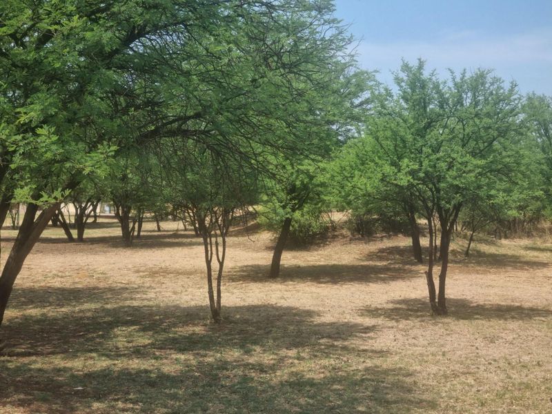 A view of a vacant residential plot featuring established trees and natural ground cover.