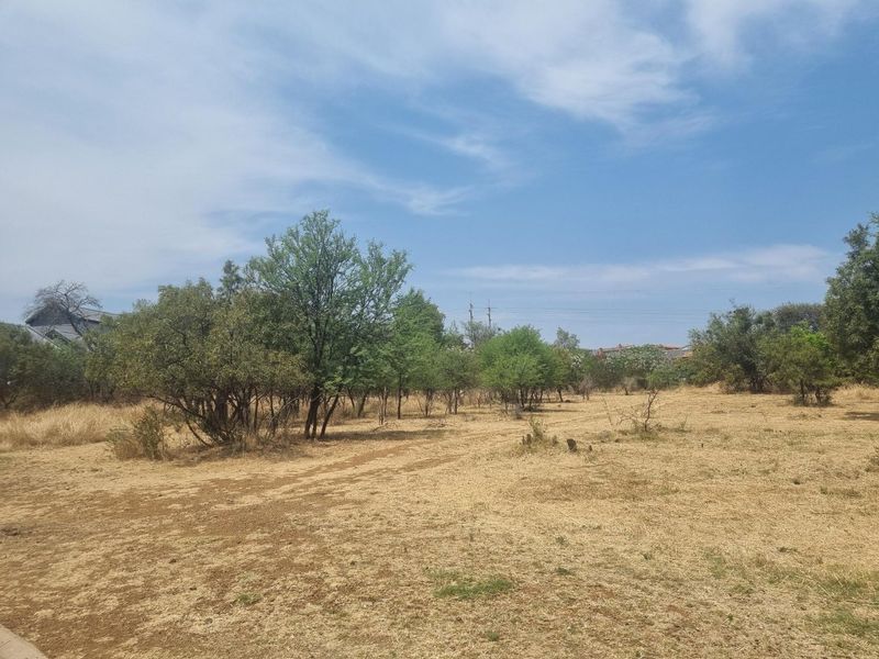 A vacant residential plot featuring natural dry grass and established indigenous trees under a clear blue sky.