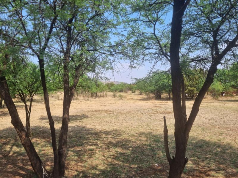 A view of a vacant residential plot featuring mature trees and open, cleared land, suitable for future development.