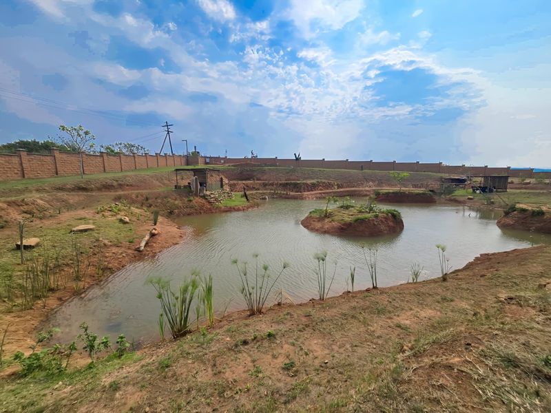 Prime Plot in Springvale – Approved Plans, Loft & Stunning Dam Views - Photo 7