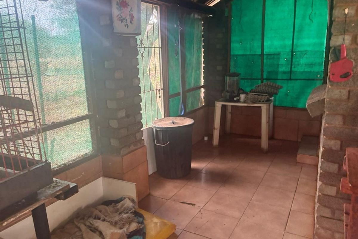 Beautiful 4 bedroom house with 2 flats and another dweling with a conical tatched roof on 1  plot for sale in Northam in the beautiful bushveld. - Photo 4