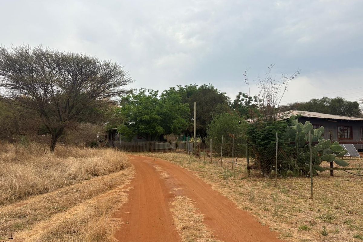 Plot with 3 wooden houses and one brick house located in the bushveld. - Photo 4