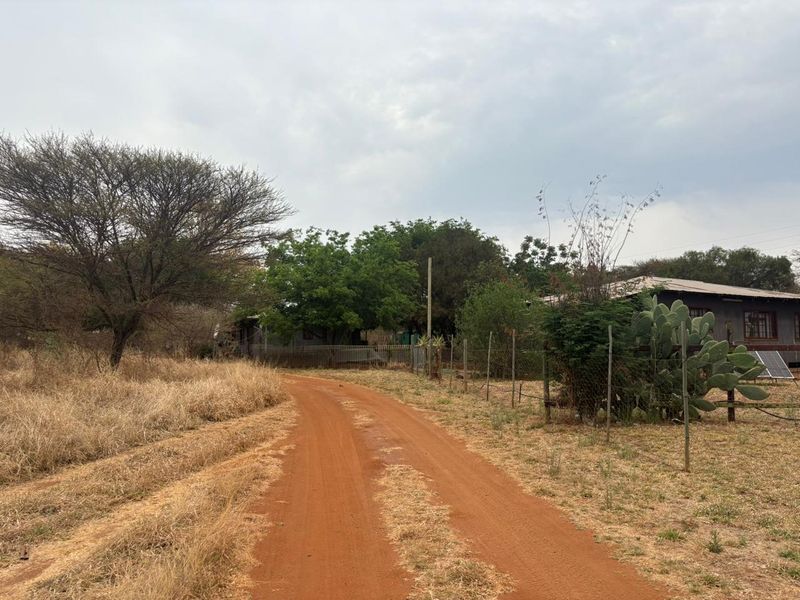 Plot with 3 wooden houses and one brick house located in the bushveld. - Photo 4