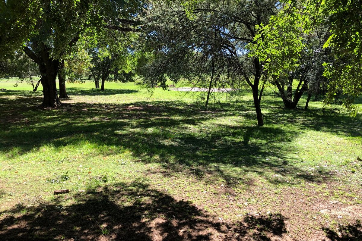 A spacious, tree-lined garden area featuring established trees and a large lawn, providing a natural and shaded outdoor setting.
