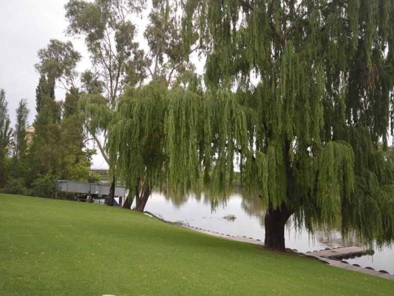 A well-maintained garden area featuring mature willow trees, expansive lawn, and direct access to the river with a private jetty.