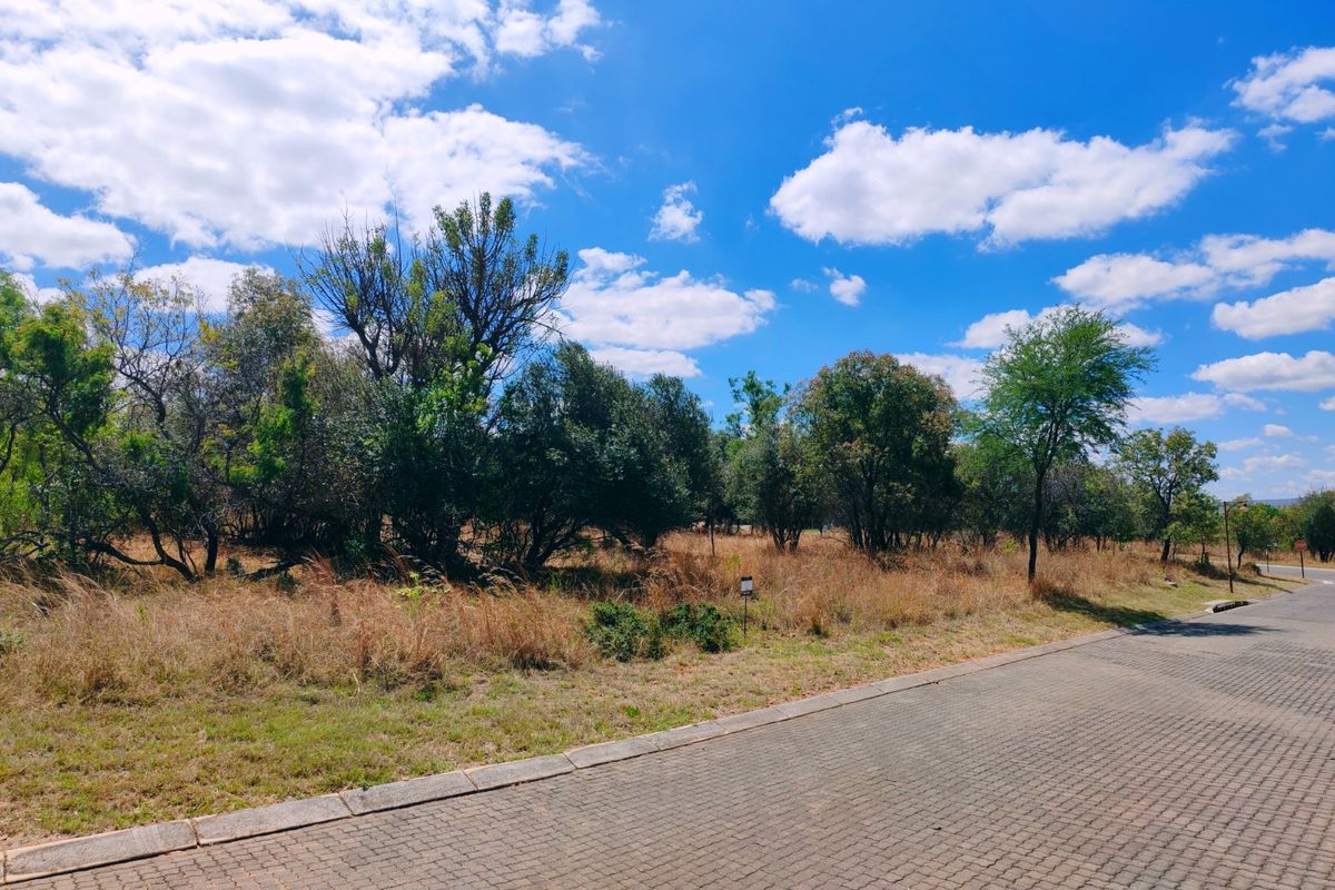 Vacant stand for sale in Koro Creek,Modimolle - Photo 3
