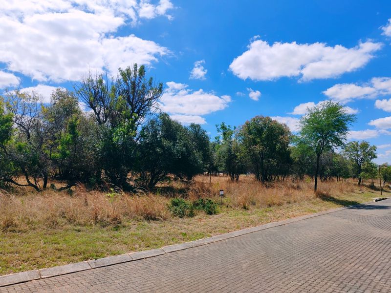 Vacant stand for sale in Koro Creek,Modimolle - Photo 3