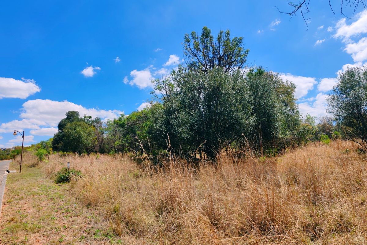 Vacant stand for sale in Koro Creek,Modimolle - Photo 4