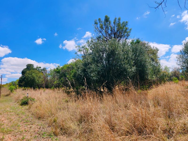 Vacant stand for sale in Koro Creek,Modimolle - Photo 4