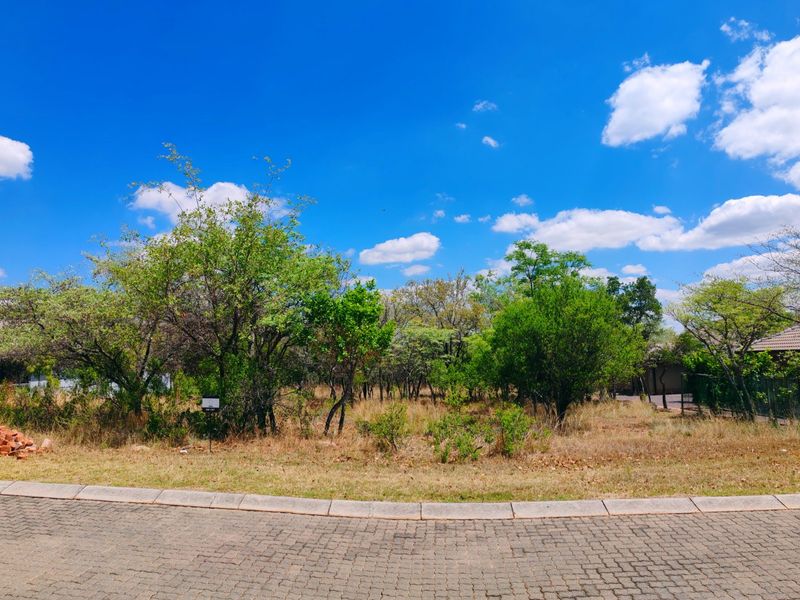 Vacant stand for sale in Koro Creek,Modimolle - Photo 4