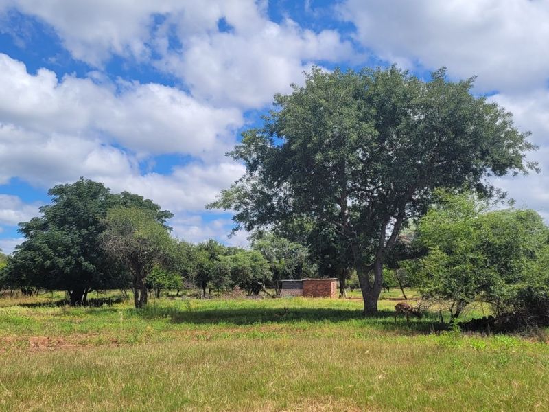 Farm for sale,Modimolle - Photo 7