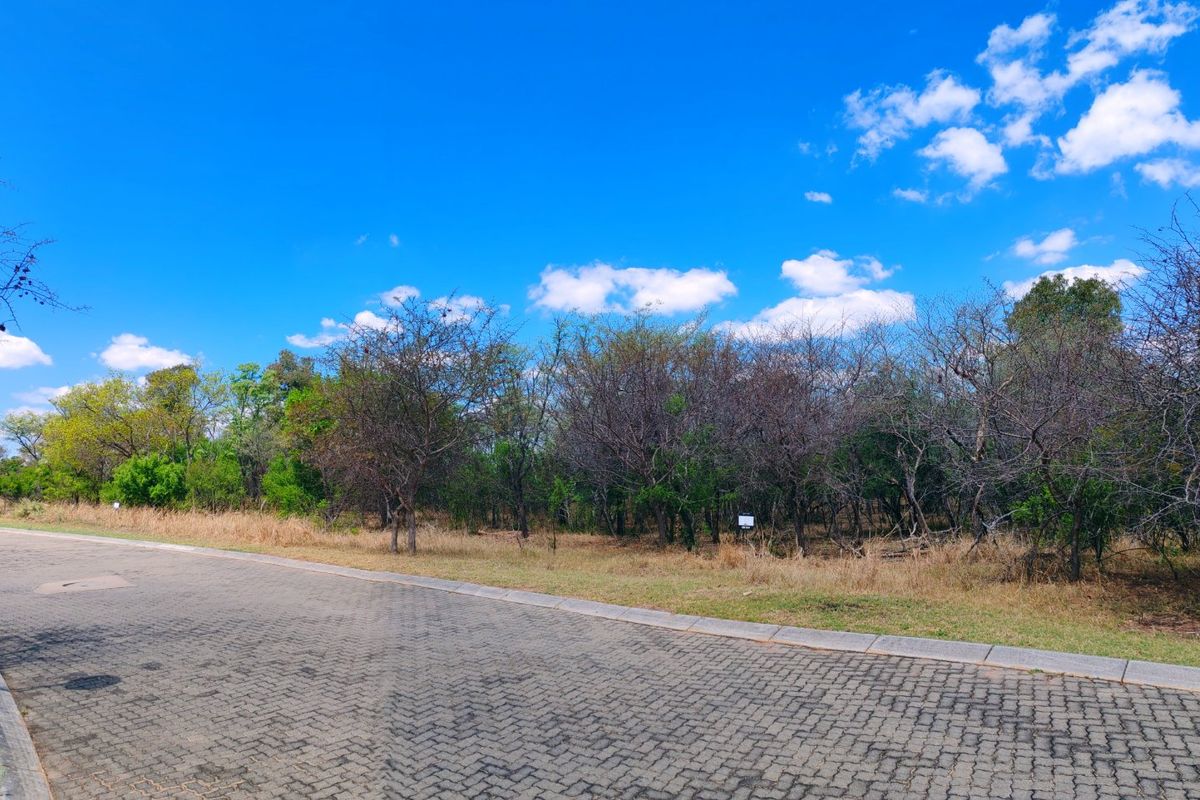 Vacant stand for sale in Koro Creek,Modimolle - Photo 3
