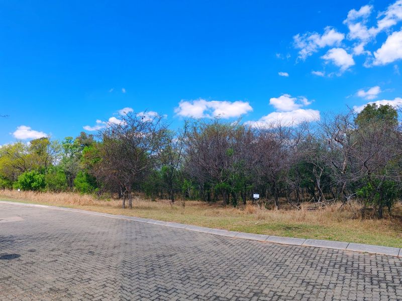 Vacant stand for sale in Koro Creek,Modimolle - Photo 3