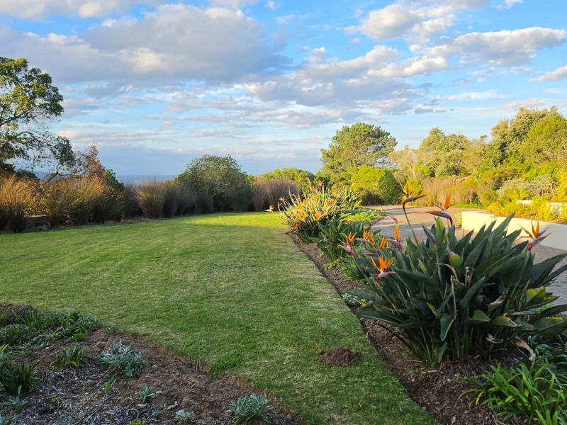 A well-maintained garden area featuring a manicured lawn, established flower beds with bird of paradise plants, and a paved pathway.